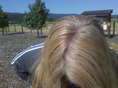 Roots BEFORE first henna Lt. Mt. Natural